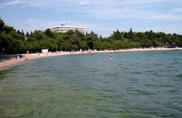 Vitoni