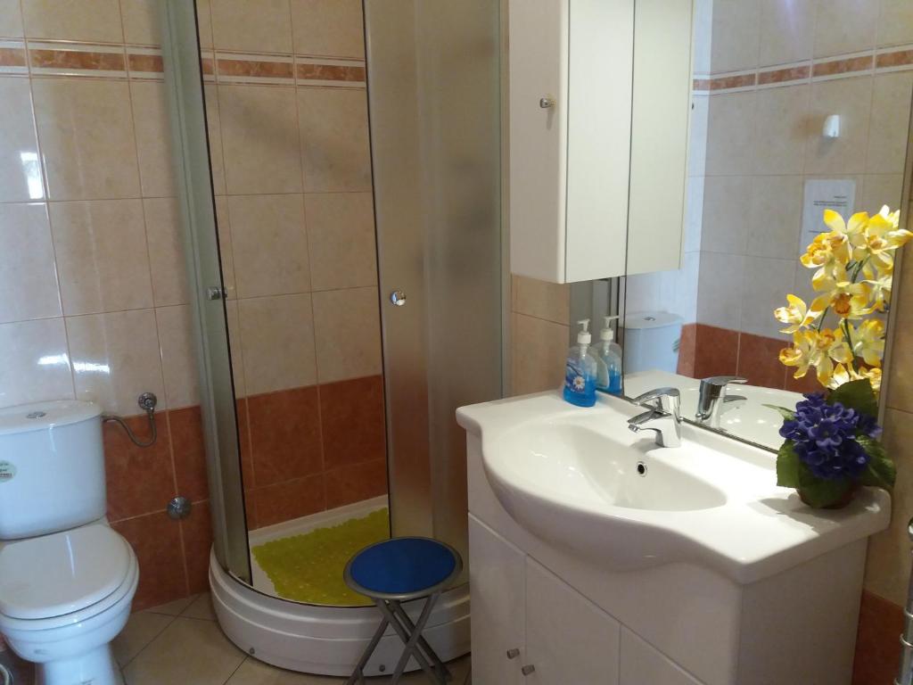 łazienka z toaletą, umywalką i prysznicem w obiekcie Apartment RB w mieście Omišalj