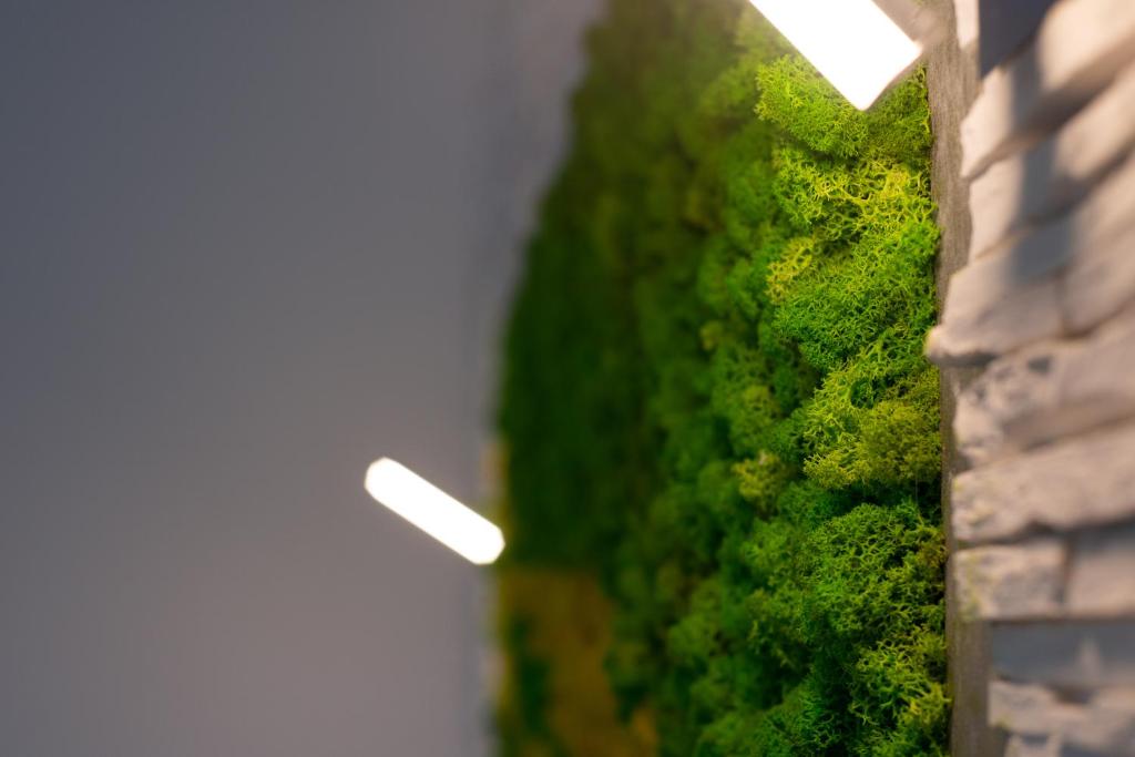 Apartments Steel Residence -Tesla Test Drive and 120 kW Supercharger - Resim 34