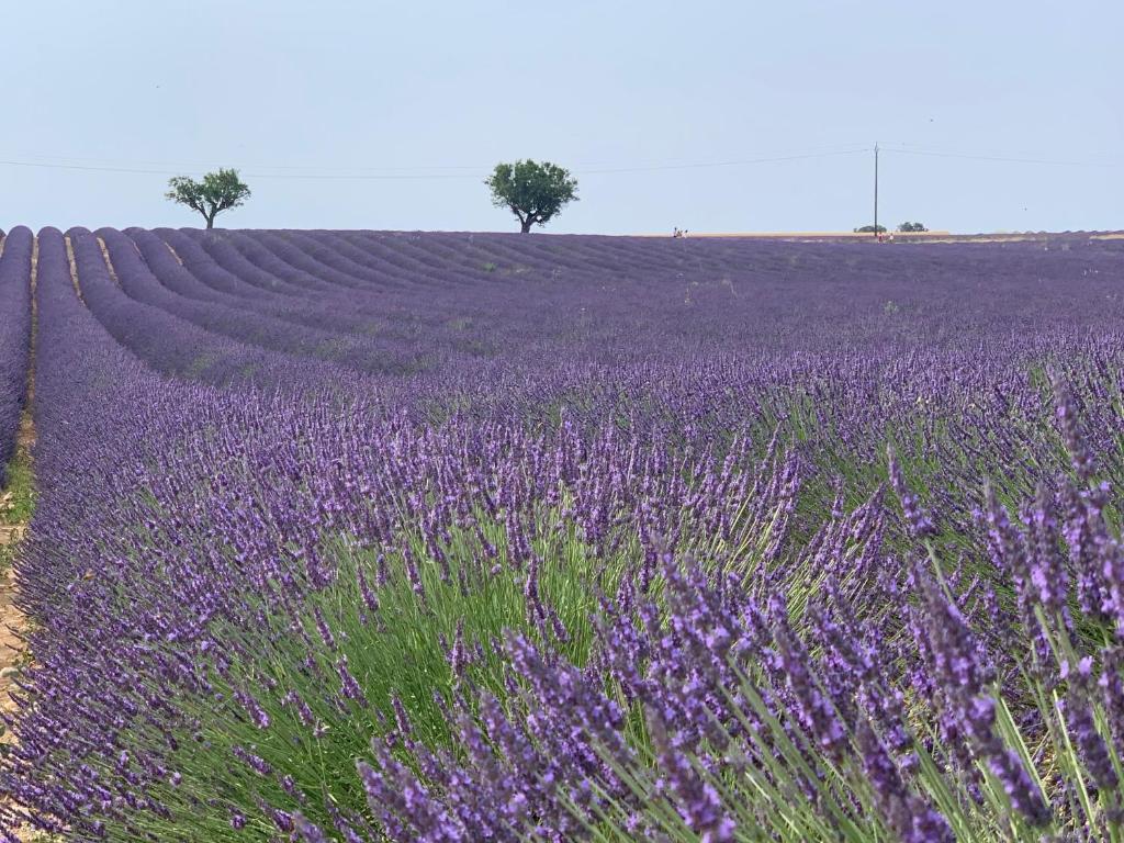 Studios Nuitée en Provence - 7