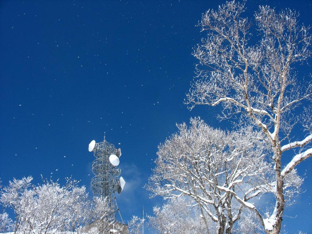 Nozawa Onsen Utopia v zimě