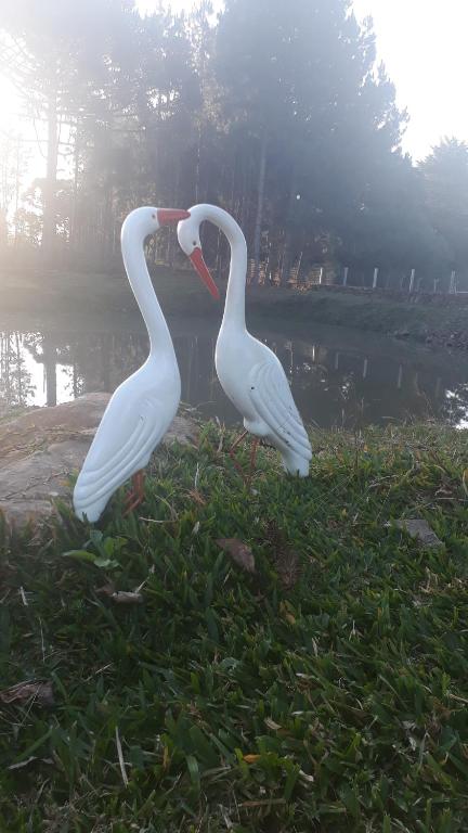 Sitio Recanto Catuci  Sitio Recanto Catuci