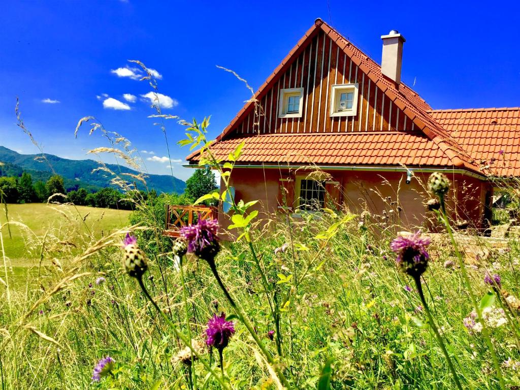 a house in the middle of a field with flowers at Kopanický dvor in Hodruša