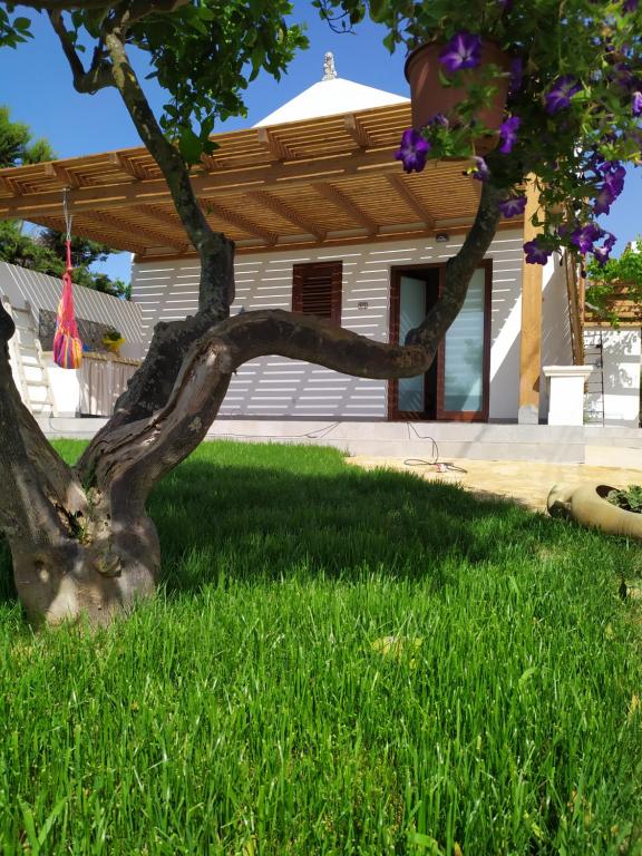Ein Baum im Gras vor einem Haus in der Unterkunft Brezza di Stagnone in Birgi Vecchi