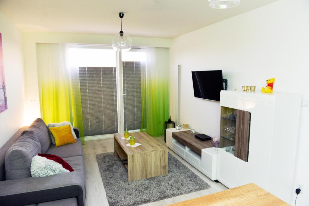 salon z kanapą i telewizorem w obiekcie Apartament Żeromskiego w Białej Podlaskiej