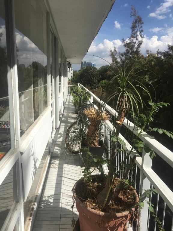 Condesa Zen - Deluxe Queen Studio