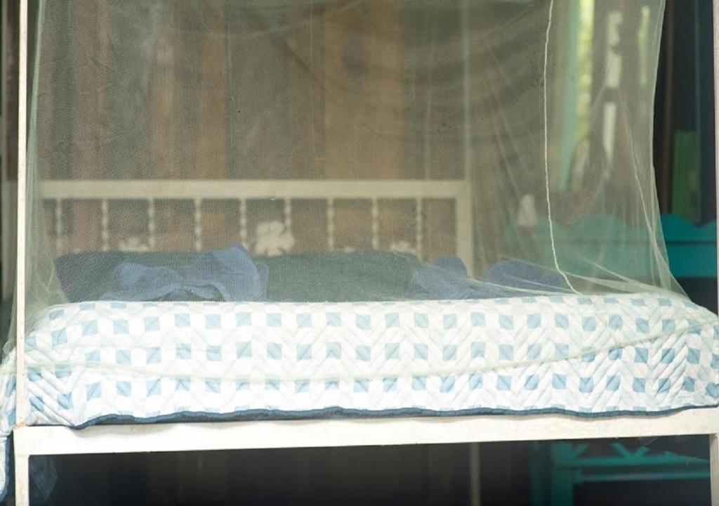 Postel nebo postele na pokoji v ubytování Madre Selva Hostel