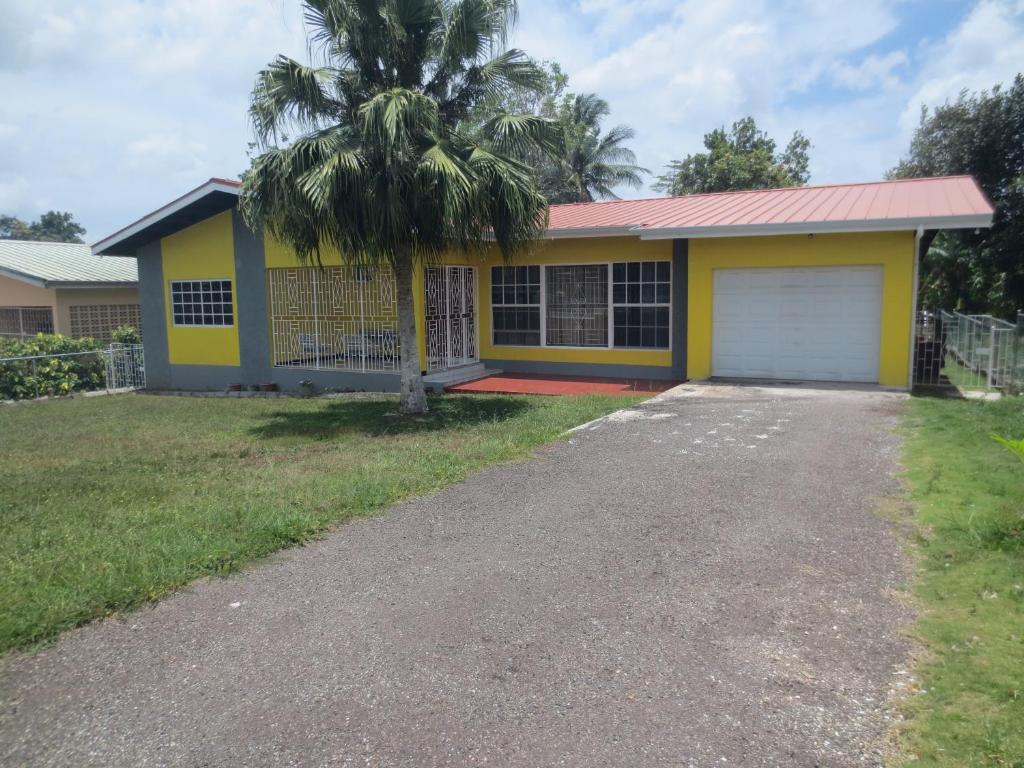 a house with a palm tree in front of it at Chateau Yellow in Mandeville