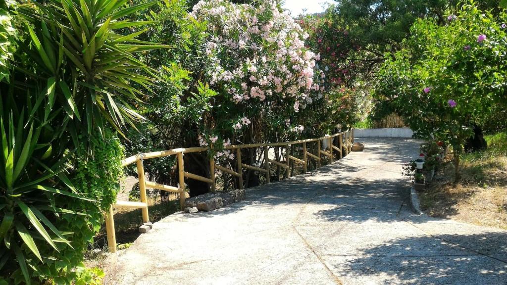 a path with pink flowers and a fence at Idillio Mediterraneo in Magomadas