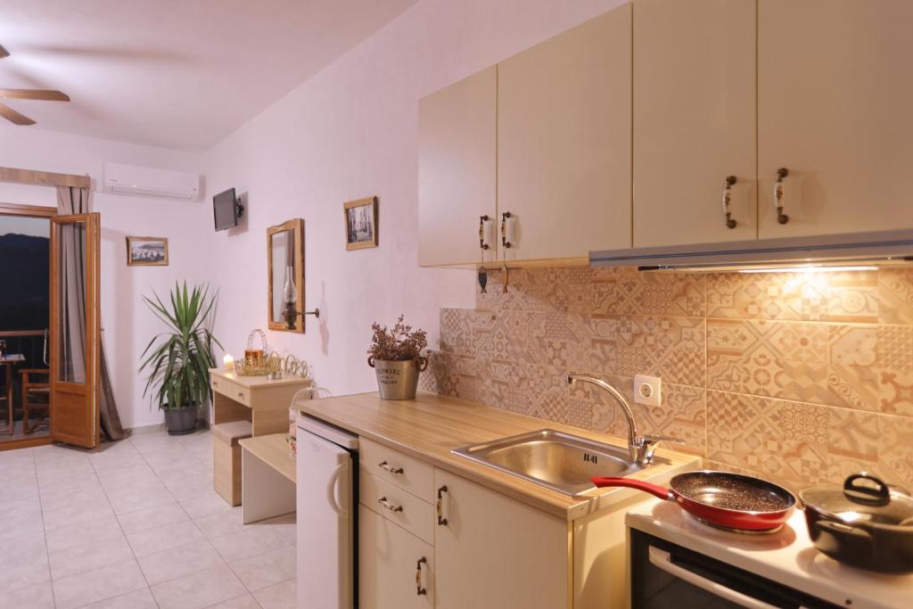 Kuchyň nebo kuchyňský kout v ubytování Giasemi Apartments