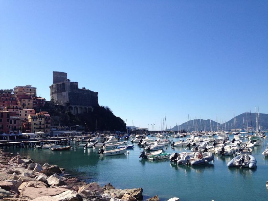 a bunch of boats are docked in a harbor at A little gem in the old city center... in Lerici