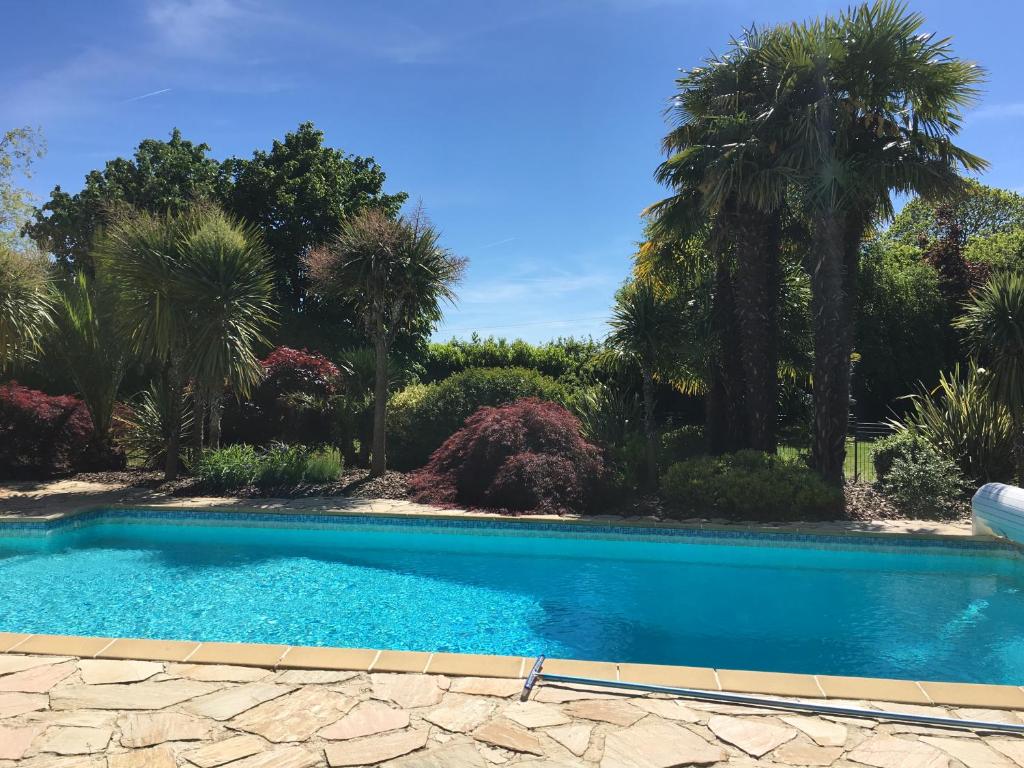 una piscina en un patio con palmeras en VILLA PIETRA, en Le Boupère