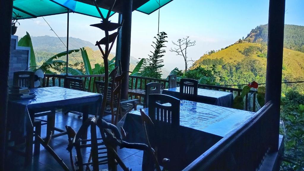 Blooming Rose Ella - 12