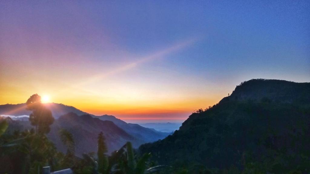 Blooming Rose Ella - 9