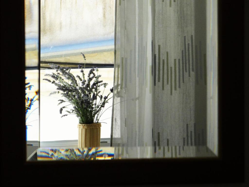 Fotografie z fotogalerie ubytování TTapartmani v destinaci Pula