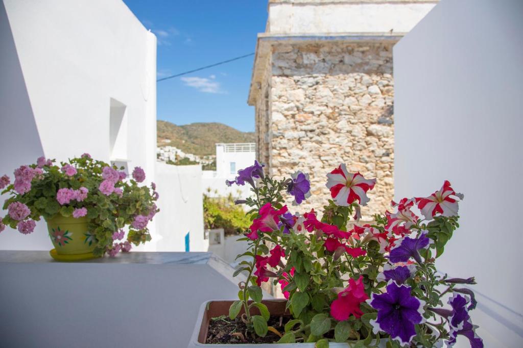 two flowers in a pot on a balcony at Pension Barbara in Katapola
