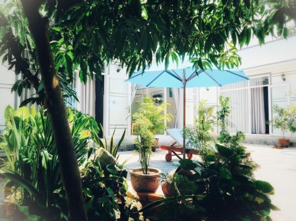 Vườn quanh BinhYen Homestay