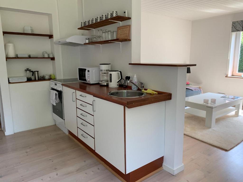 eine Küche mit einer Spüle und einer Arbeitsplatte in der Unterkunft B&B Apartment Rødekro in Rødekro