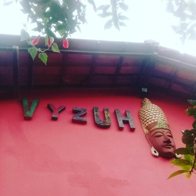  Vyzuh