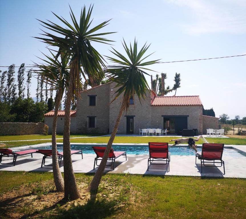 una piscina con sillas y palmeras frente a una casa en Mas Puig, en Saint-Génis