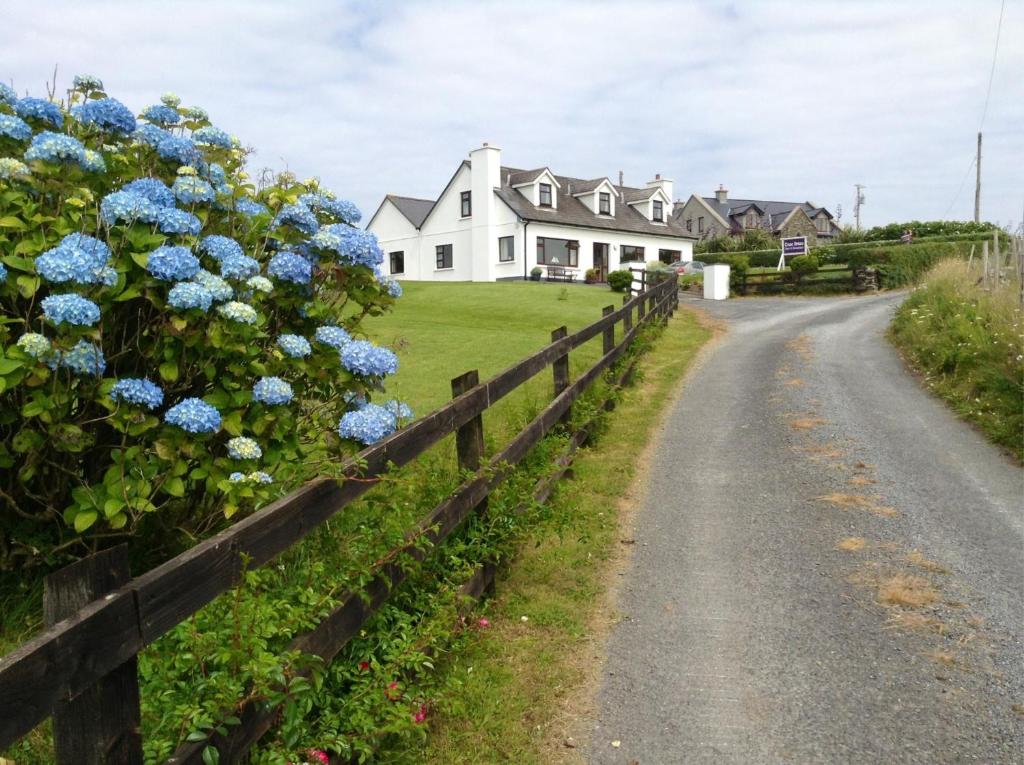 a house with blue flowers on the side of a road at Cnoc Breac B&B in Cleggan