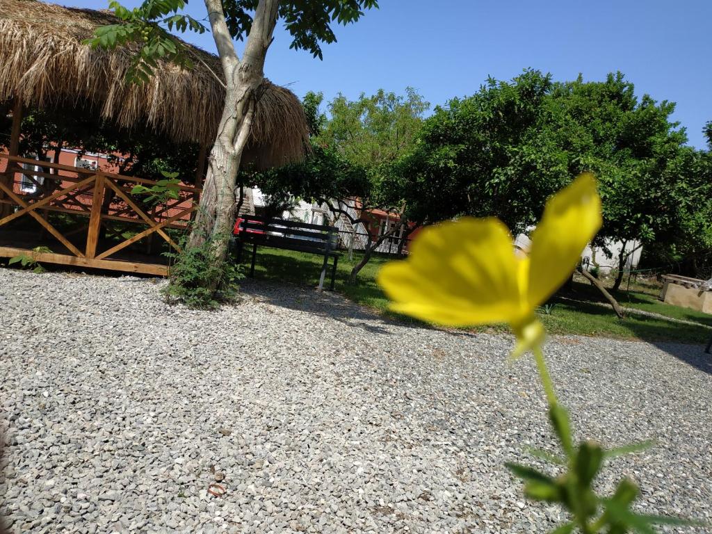 Jardí fora de Kolkhi Guest House