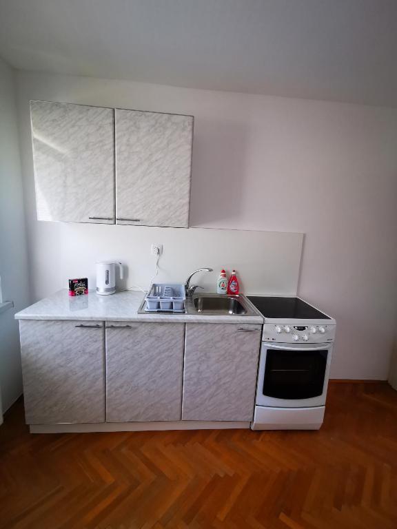 Kuchyň nebo kuchyňský kout v ubytování Apartmaji Tomšič