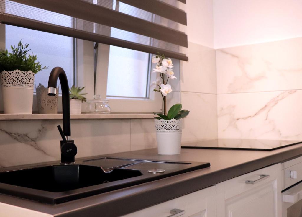 Kuchyňa alebo kuchynka v ubytovaní Apartman Muracca