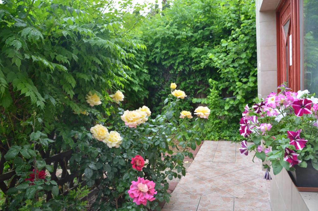 Zahrada ubytování Miklós FKK Naturist