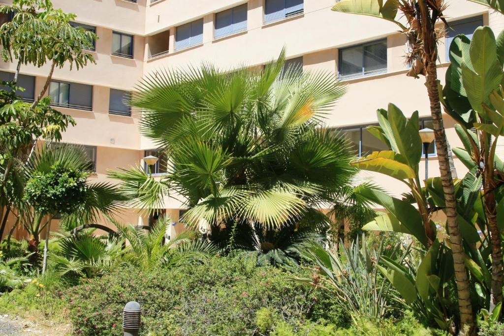 Vonkajšia záhrada v ubytovaní APARTAMENTO MALAGA CENTRO Y PLAYA-PARKING