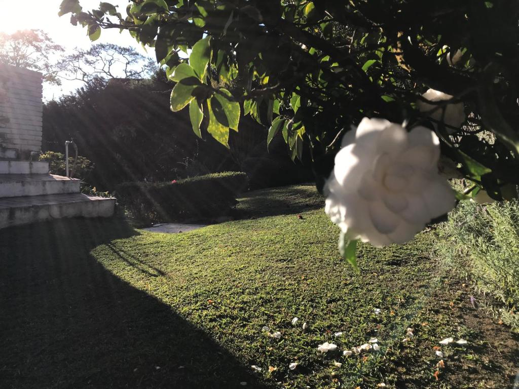  Casa na Montanha C Jordão