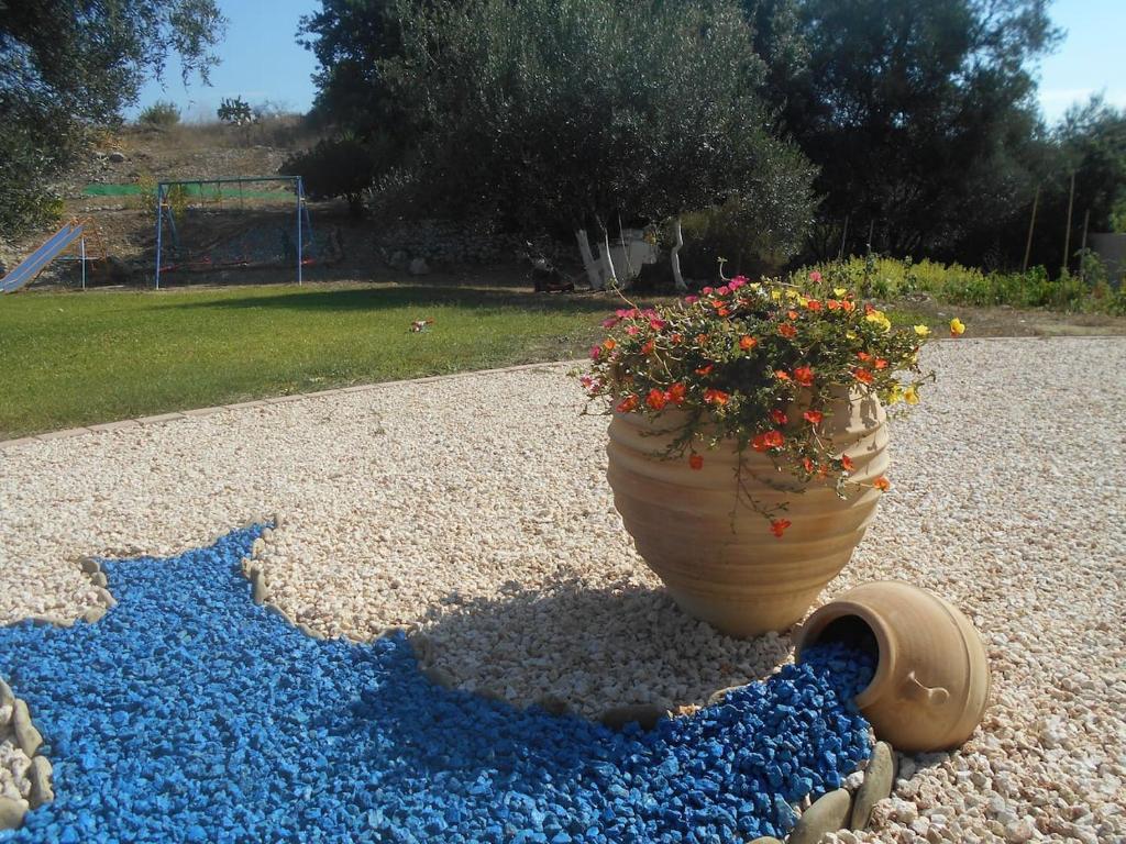 a flower pot sitting on a pile of blue flowers at Myrto's House in Vouniatádes