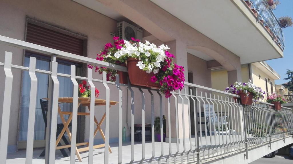 Balkón nebo terasa v ubytování B&B TERRA DI MITI