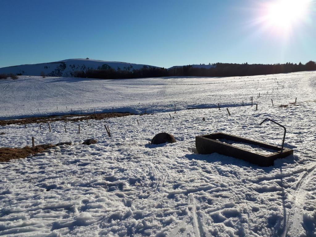 Au Chasseur – photo 47