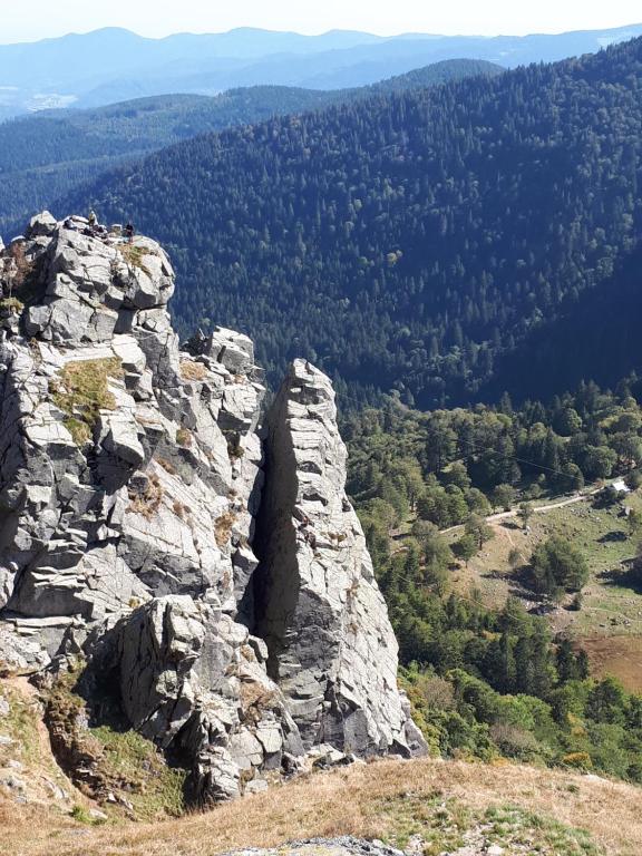 Au Chasseur – photo 42