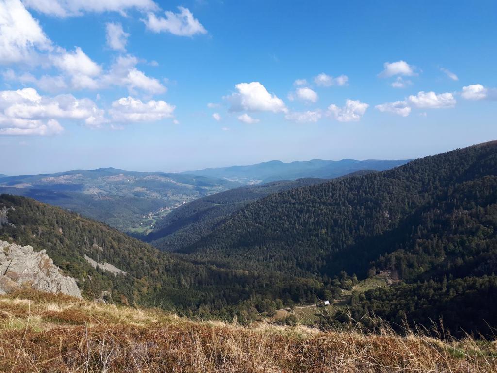 Au Chasseur – photo 41