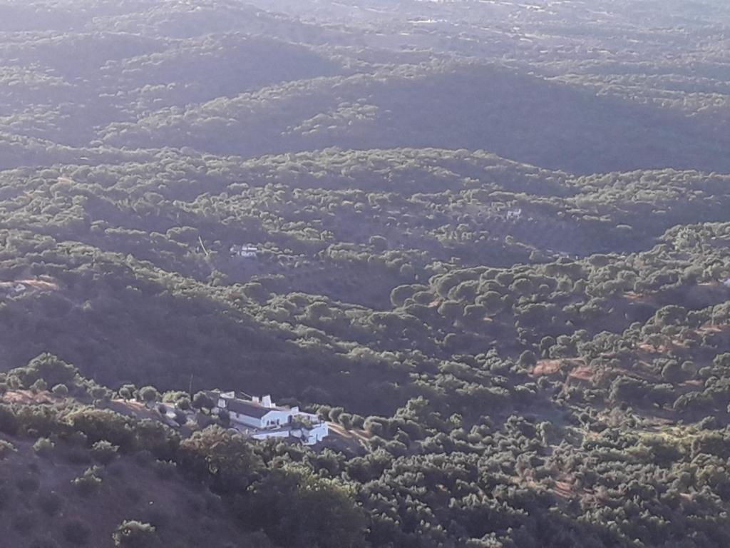 una casa in mezzo a una foresta di Quinta de Evoramonte a Estremoz