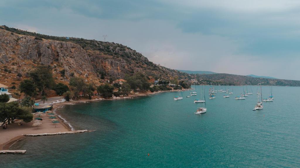a group of boats in a large body of water at Vivari Acta in Vivari