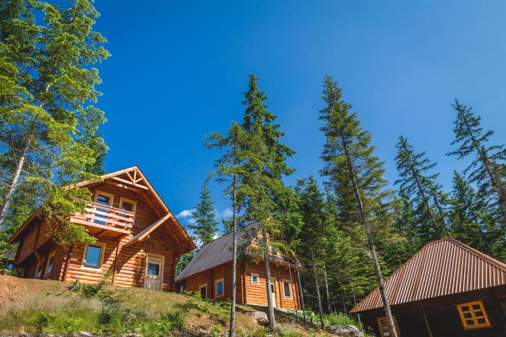 a log cabin in the woods with trees at JELA NATURAL RESORT in Rožaje