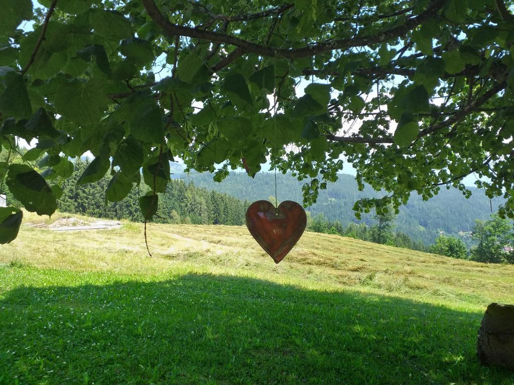 ein Herz hängt von einem Baum auf einem Feld in der Unterkunft Urlaub im Blockhaus in Diex