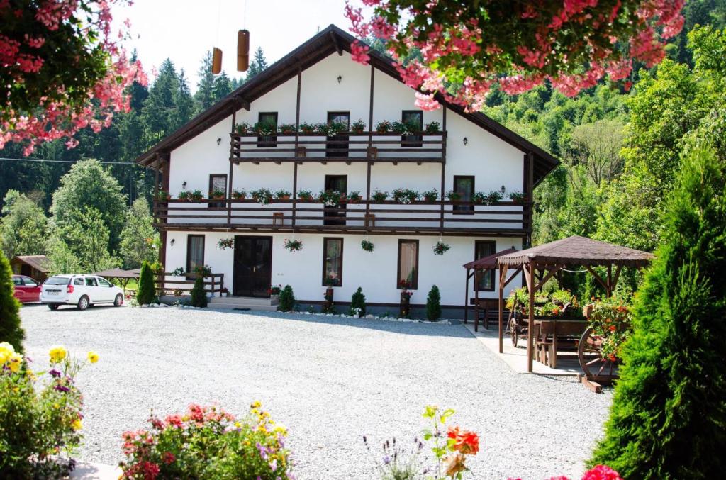 a large white house with a large driveway at Casa Ursului in Vadu Moţilor