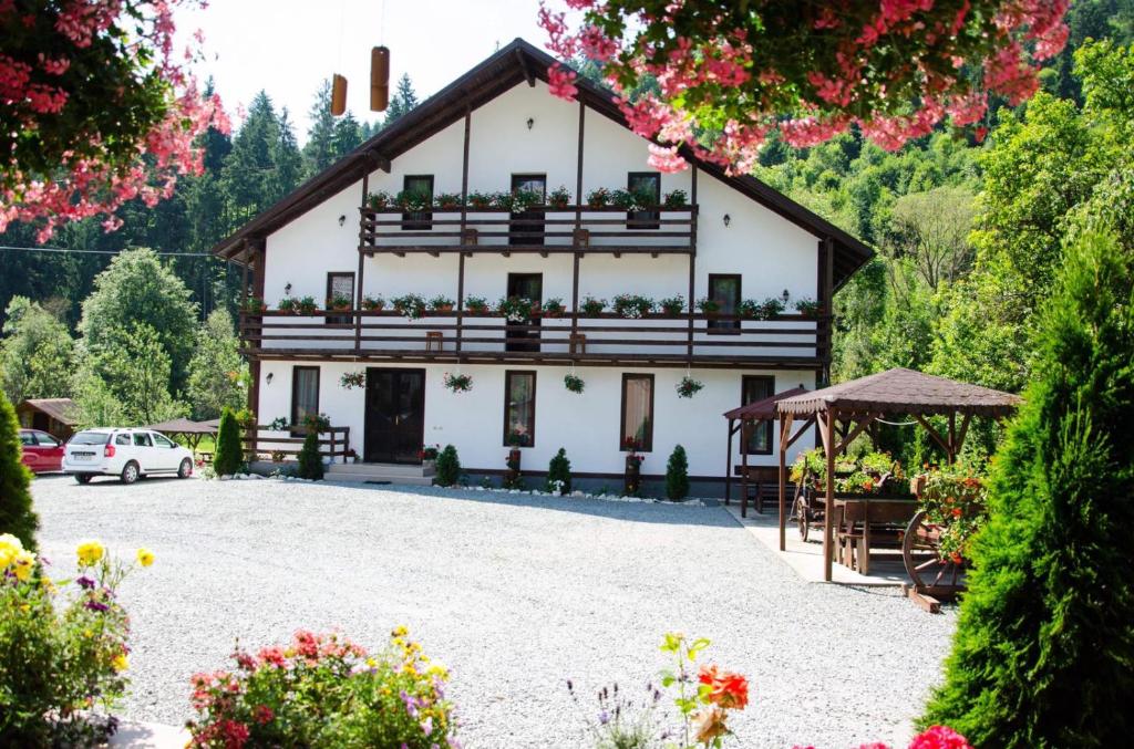 Casa Ursului