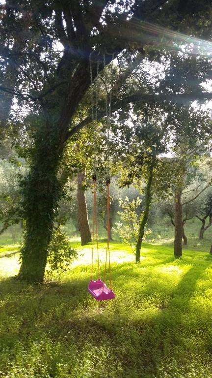 Casina nel Salento - 10