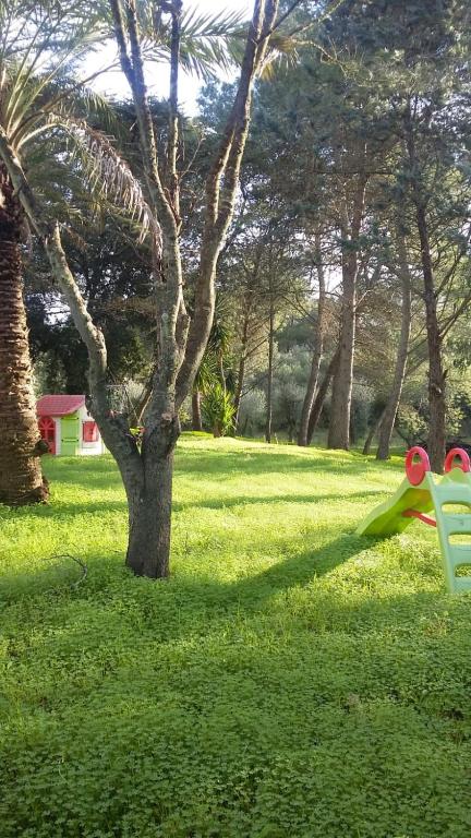 Casina nel Salento - 8