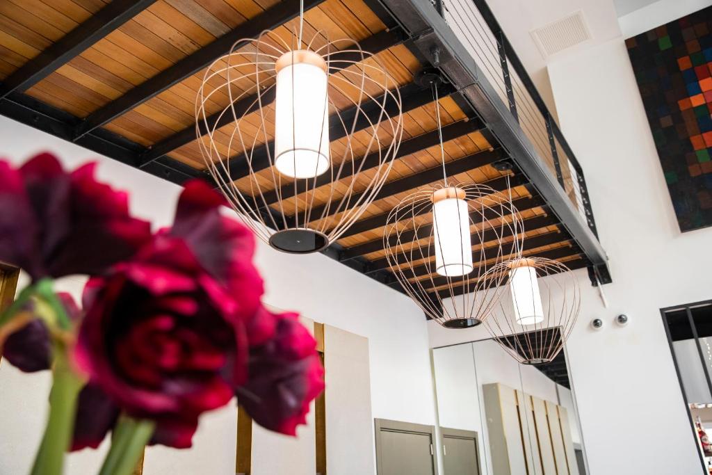 a group of lights hanging from a ceiling with flowers at 1926 Le Soleil Hotel & Spa in Sliema