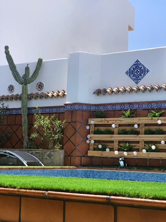 a patio with a cactus and a swimming pool at ROOMQUEO-Only Adults in Barbate