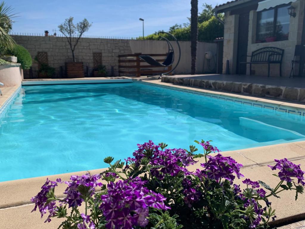 a swimming pool with purple flowers in a yard at Villa Escandia in Valence