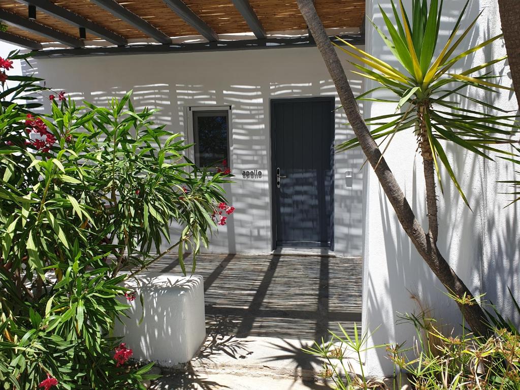 Zahrada ubytování Bellou Suites