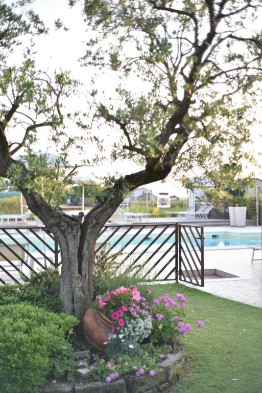 Bazén v ubytování Agriturismo B&B Vista Parco nebo v jeho okolí