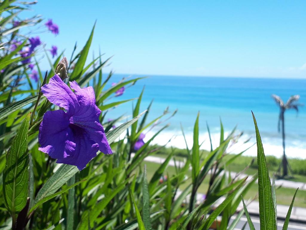 a purple flower in the grass near the beach at Sunny Ocean B&amp;B in Yanliau